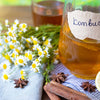 Kombucha for hangover and hanxiety