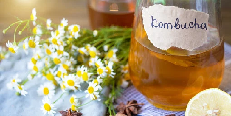 Kombucha for hangover in 2022
